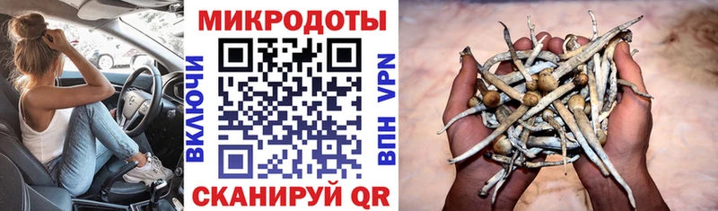 Купить где  Красновишерск  Галлюциногенные грибы Magic Shrooms 